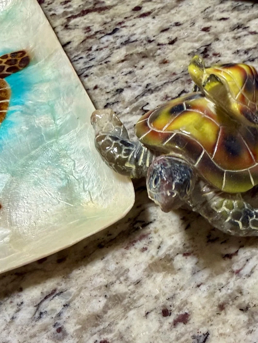 Hand-Painted Sea Turtle Figurine - Seashell platter with hand painted Sea Turtle